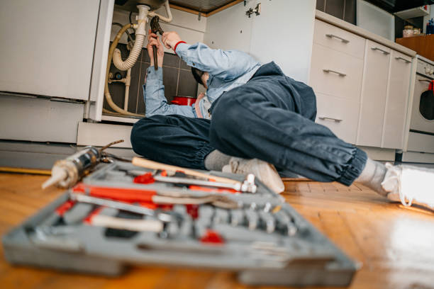 Best Local Plumber Services  in Belleview, FL