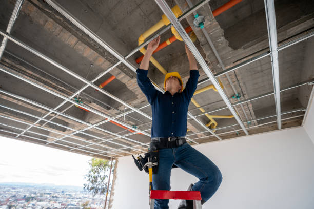 Best Best Plumbers Near Me  in Belleview, FL