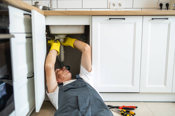 Best Plumbing Inspection Services  in Belleview, FL